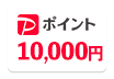 Pポイント10,000円