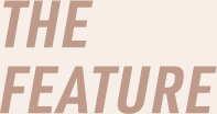 THE FEATURE