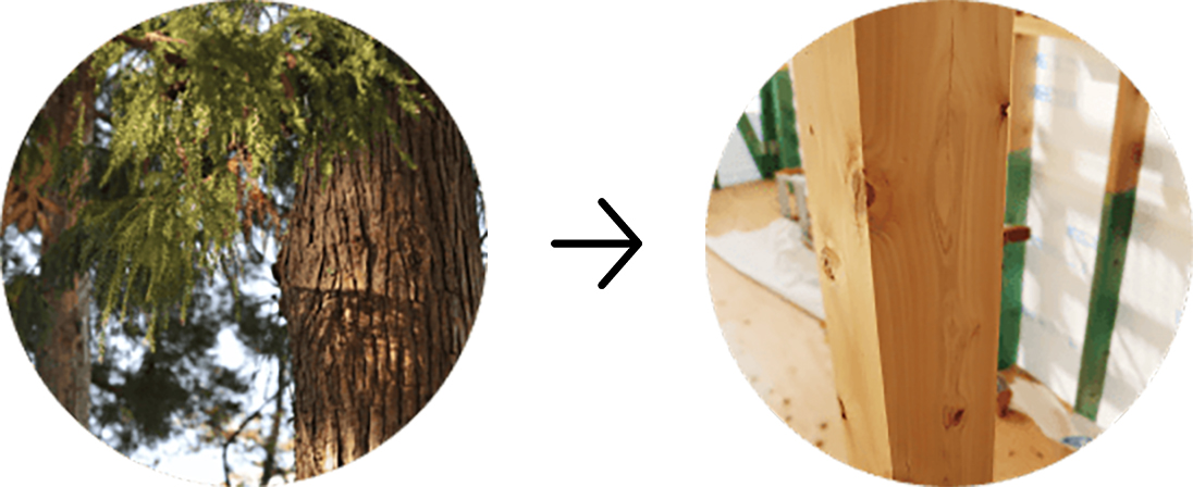 ヒノキを土台と柱に使用